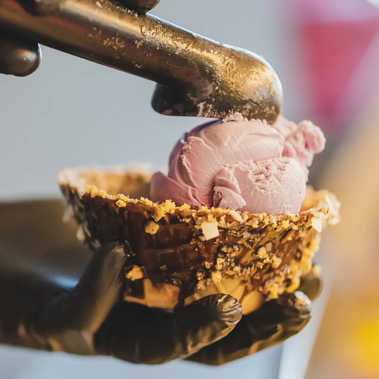Scoop Up the Fun 🍨